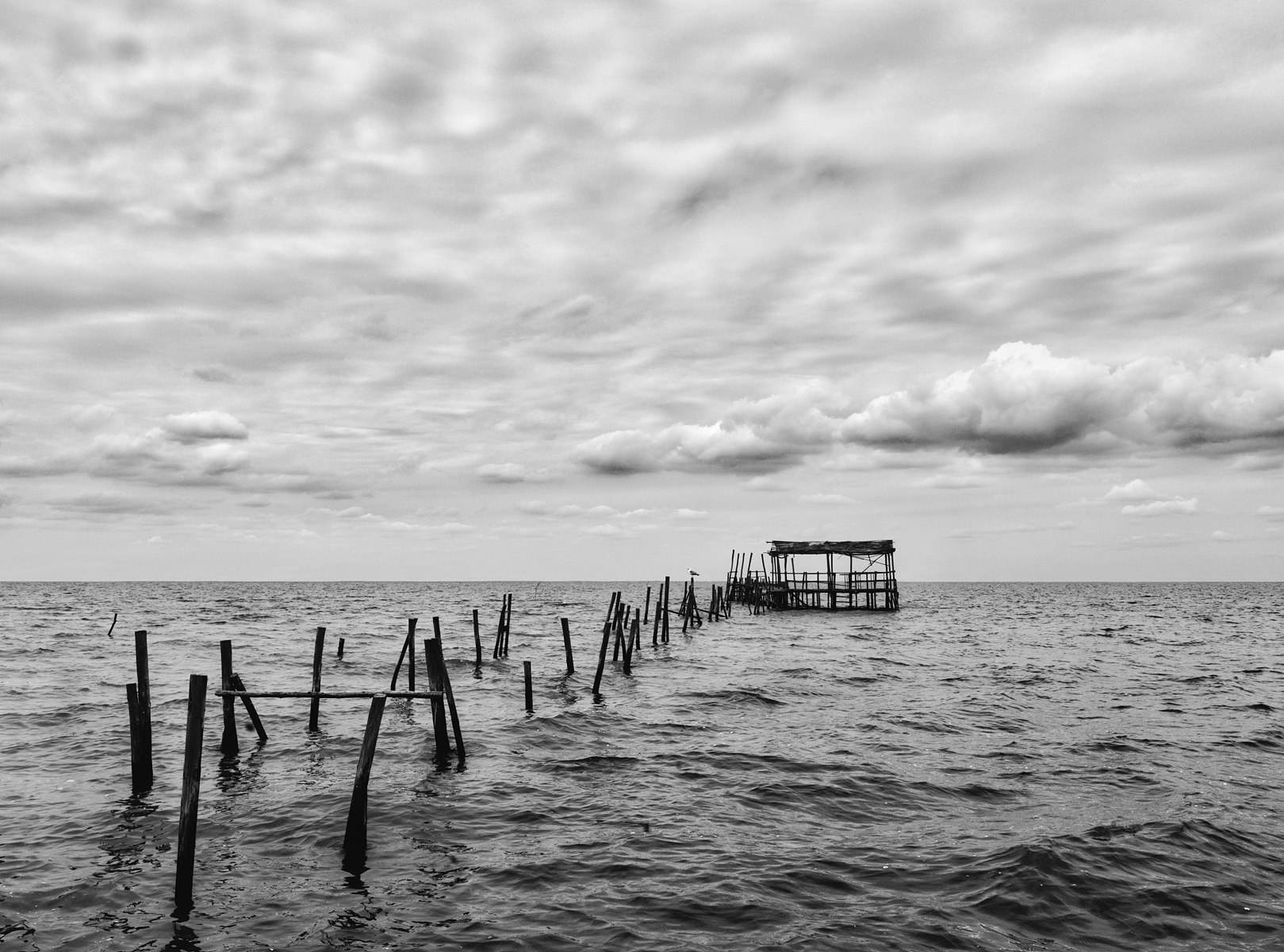 Code of silence VI